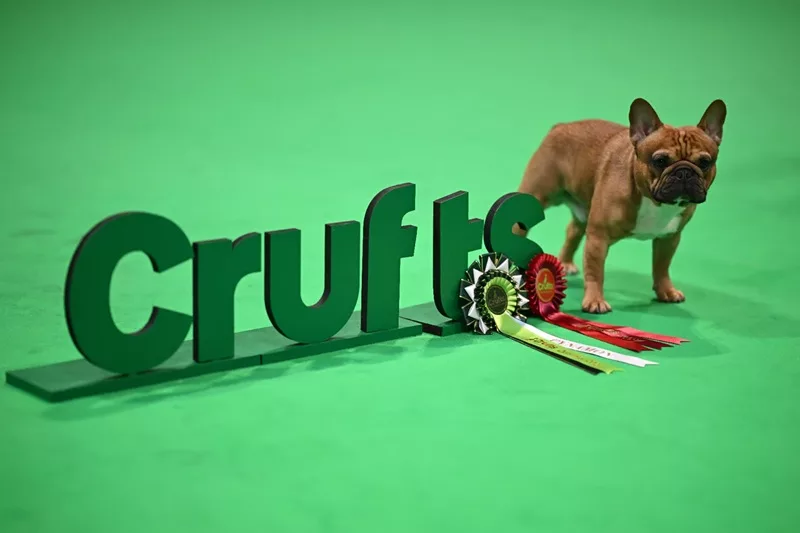 Le Crufts Le plus grand salon canin du monde